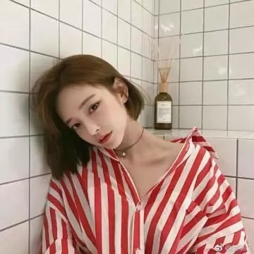 动物世界